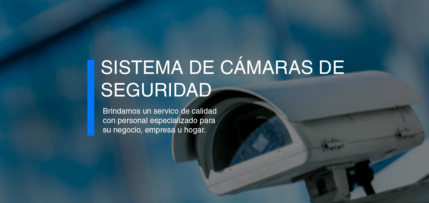 seguridad de sistemas de seguridad